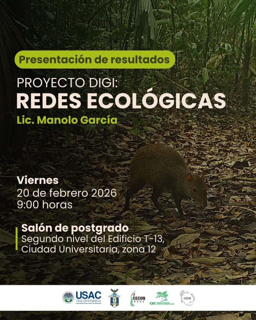 WhatsApp Image 2026-02-11 at 2.01.04 PM